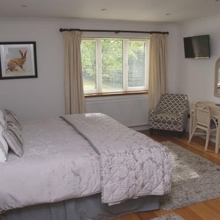 Cherry Tree Guesthouse Bradford-On-Avon Habitación foto